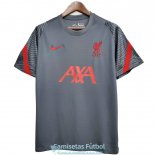 Camiseta Liverpool Training Dark Gray 2020-2021